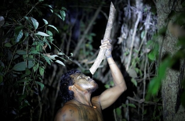 'Soi' Paulo - nguoi bao ve Amazon vua bi lam tac sat hai hinh anh