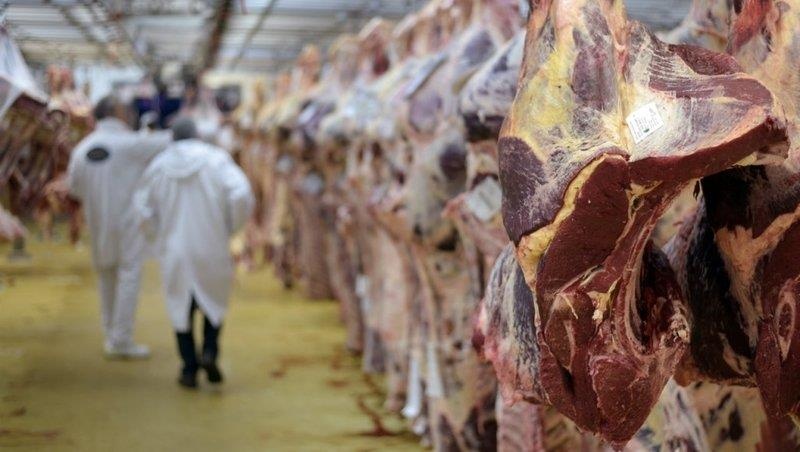 Hong Kong chan dung 540 tan thit nghi tuon vao Trung Quoc hinh anh