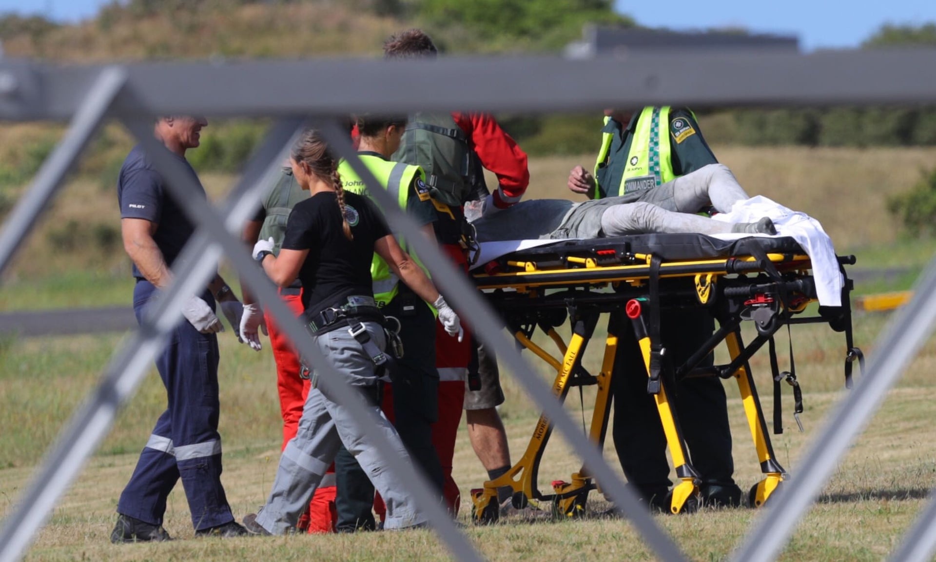 New Zealand nhap khau 100 m2 da nguoi, chua nan nhan bong vi nui lua hinh anh