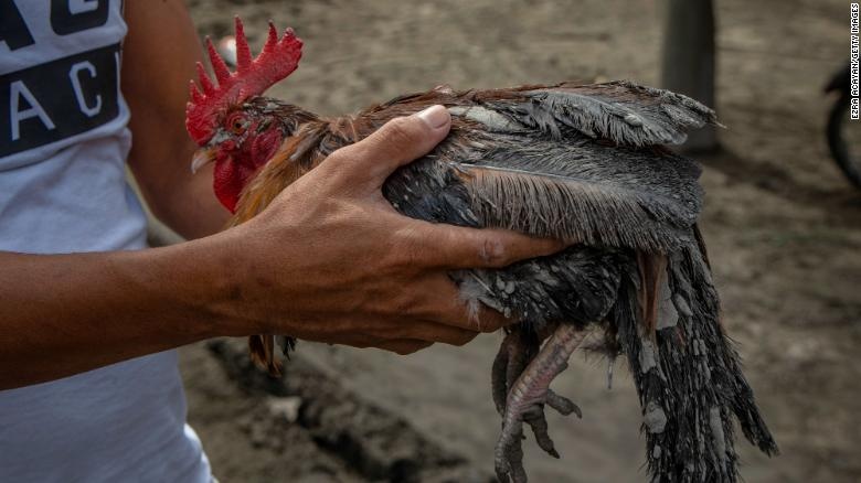 nui lua phun trao o Philippines anh 2