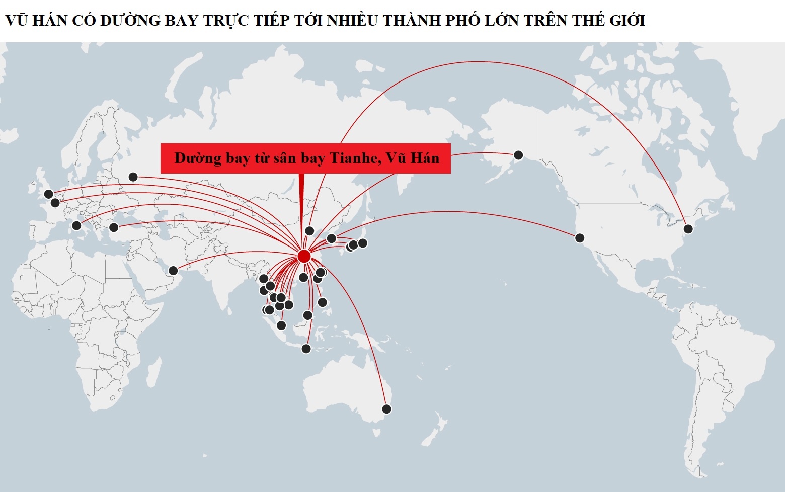 viem phoi Vu Han anh 9