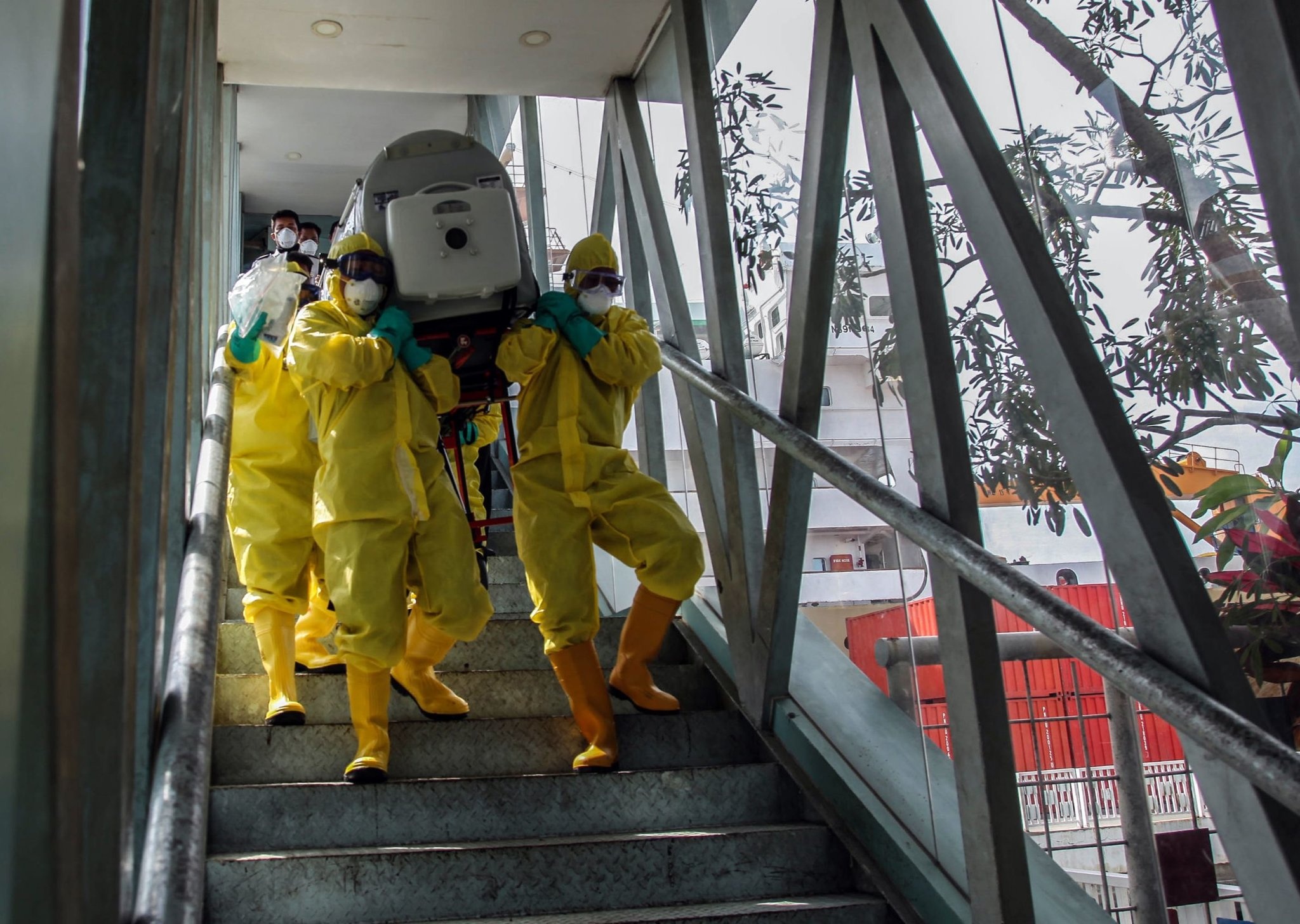 virus corona lan rong anh 3