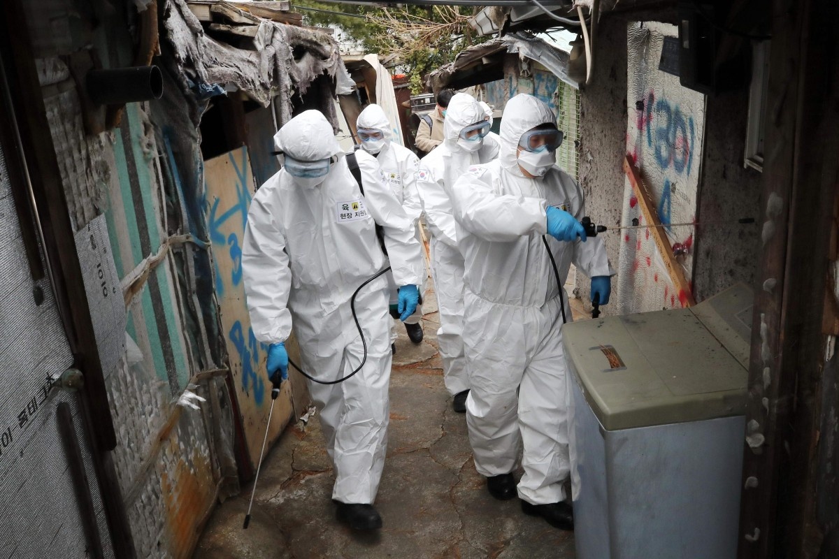 virus corona tien hoa anh 1