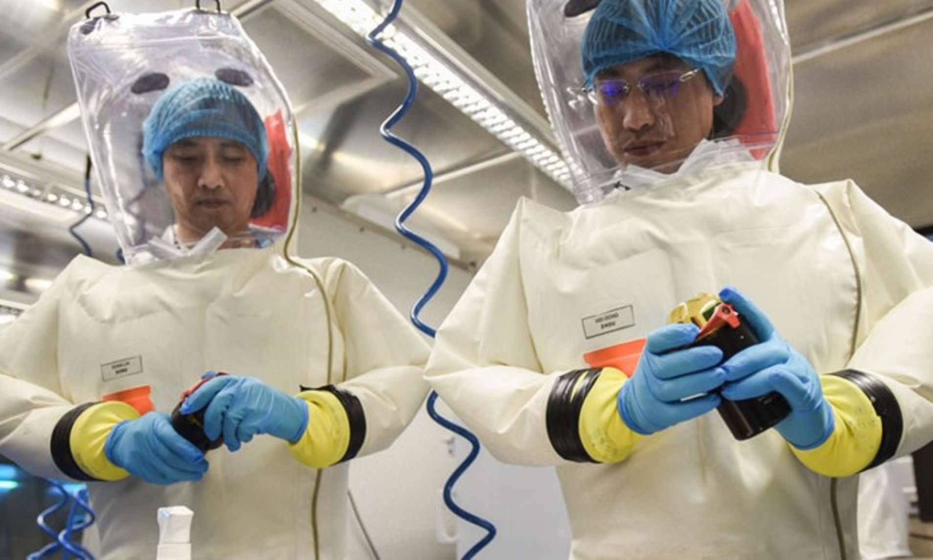 Phong thi nghiem Vu Han len tieng ve cao buoc phat tan virus corona hinh anh