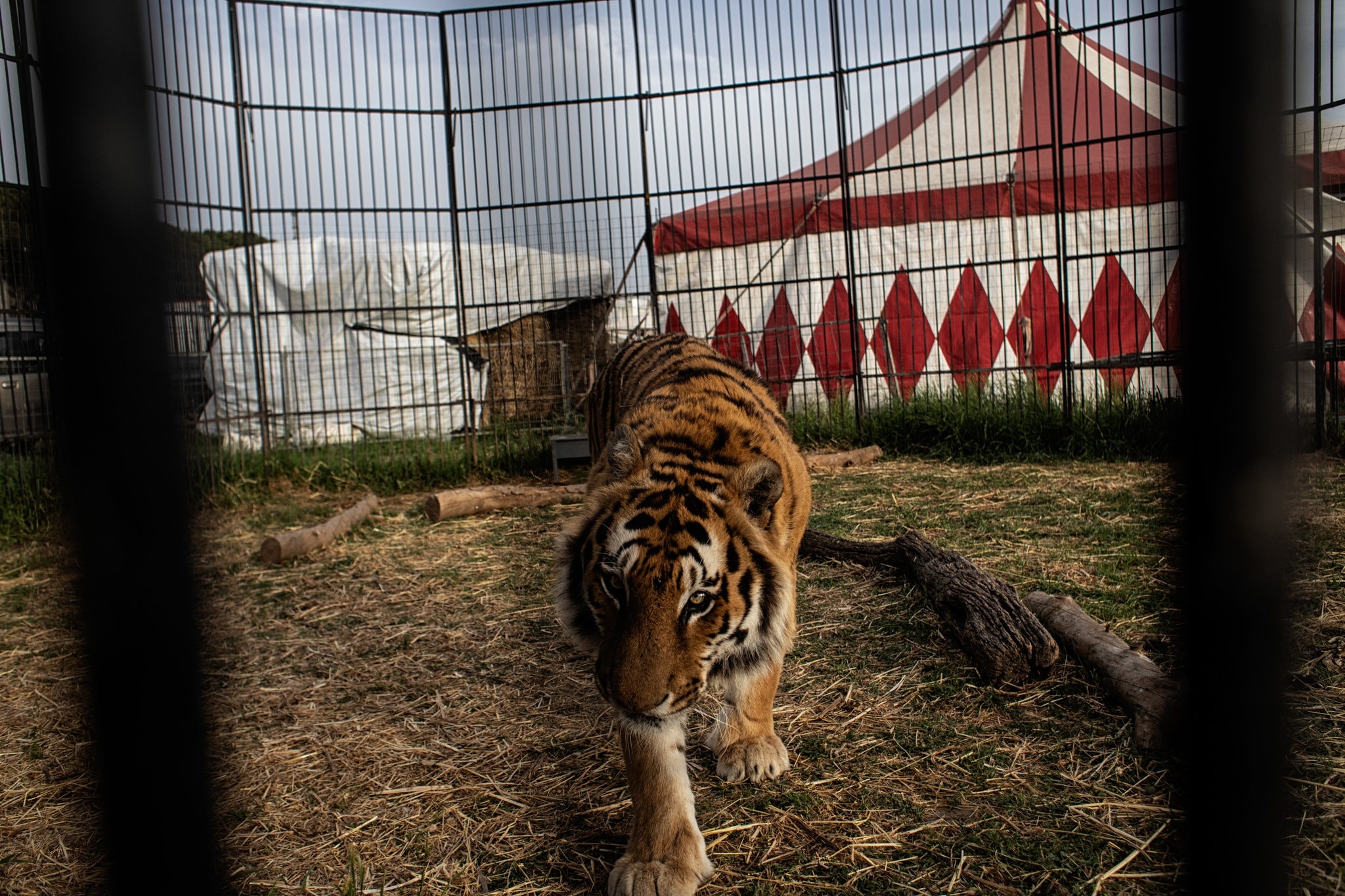 doan xiec mac ket vi virus corona anh 8