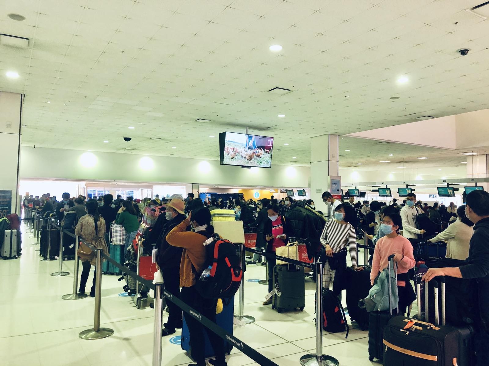 350 cong dan duoc dua ve nuoc anh 1