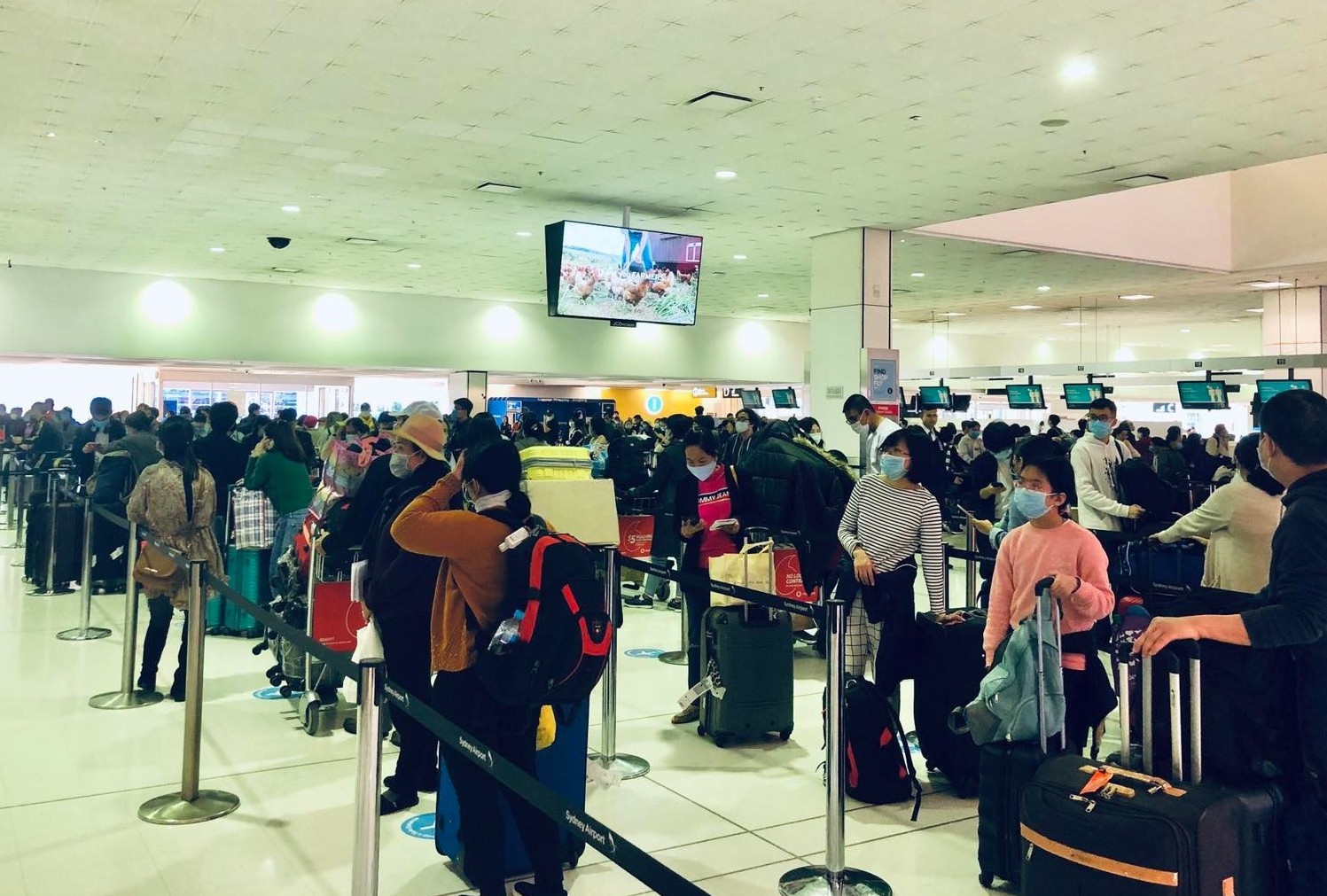 350 nguoi Viet tu Australia va New Zealand duoc dua ve nuoc hinh anh