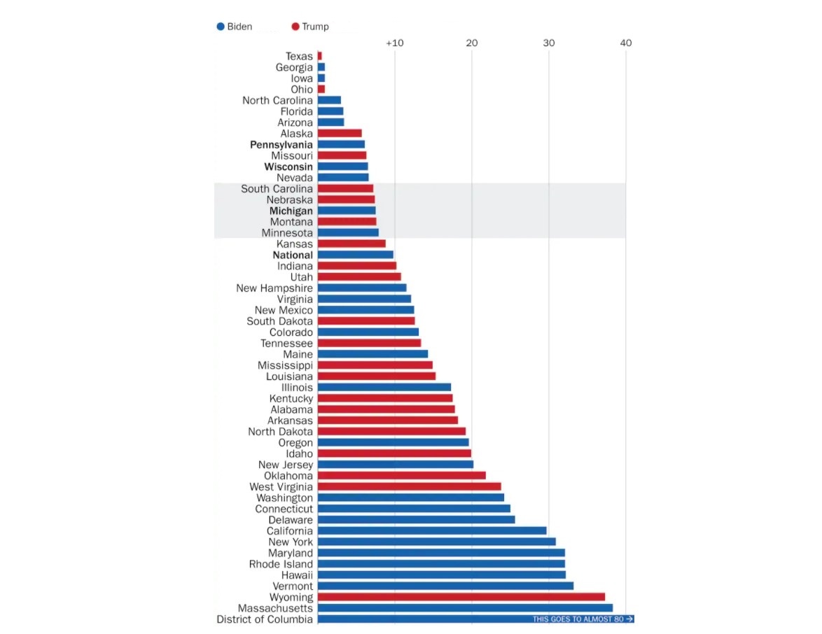 bau cu tong thong My 2020 anh 1