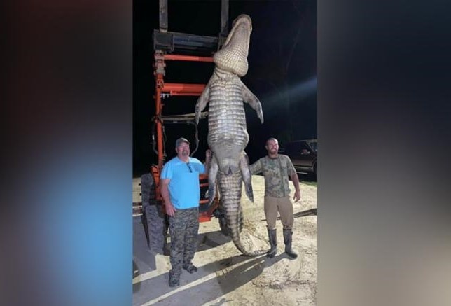 Ngu dan Florida bat duoc ca sau nang gan 500 kg hinh anh