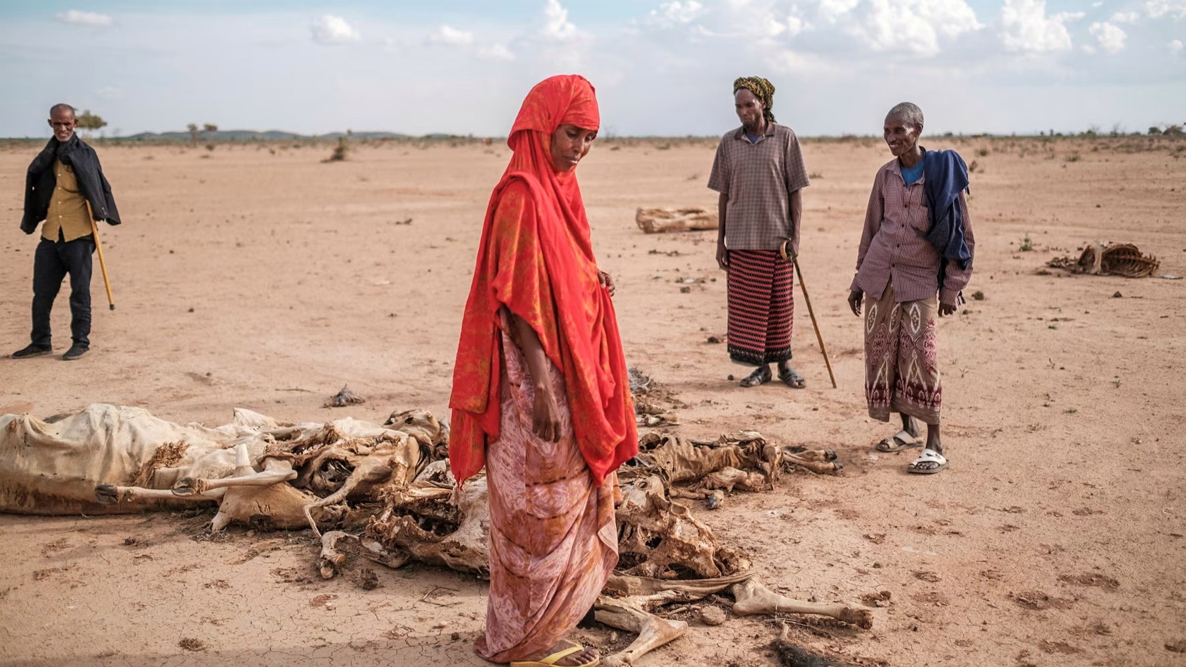 Sung chau Phi lao dao anh 1