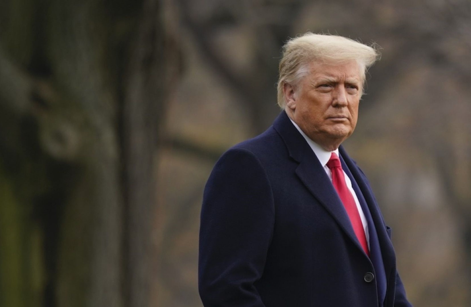 New York huy lam an voi ong Trump anh 1