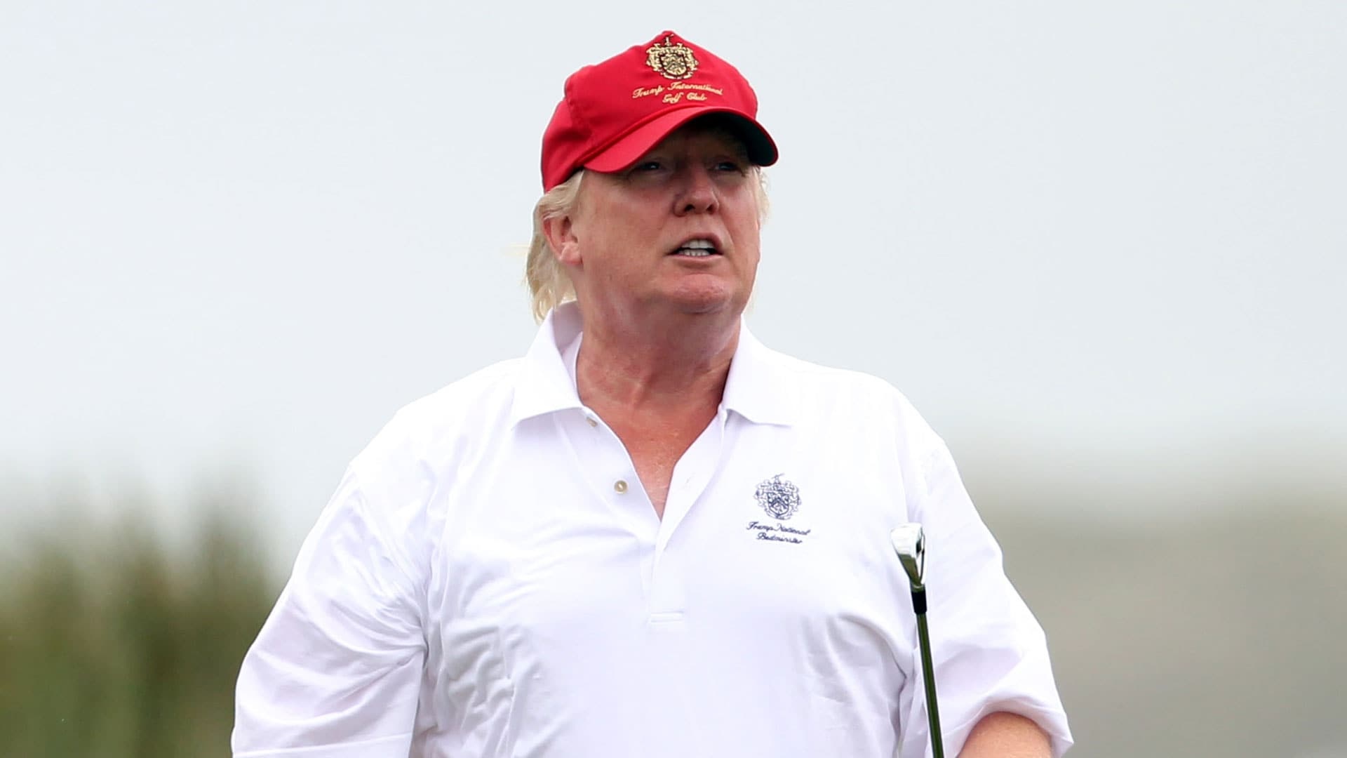 luan toi ong Trump anh 1