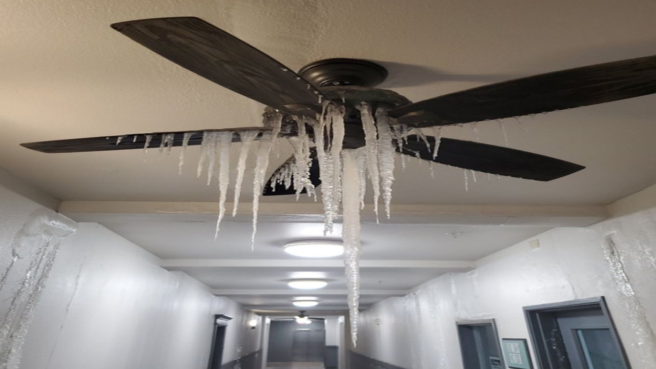 Vi sao gia lanh qua muc co the khien nguoi rung ngon tay, bo roi tai? hinh anh