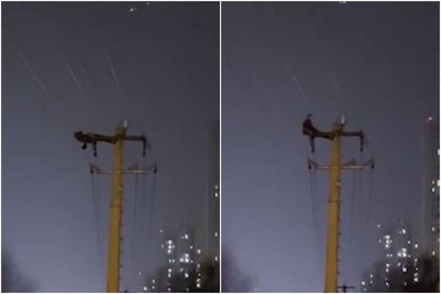 Hang chuc nghin ho dan va lay vi nguoi dan ong gap bung tren cot dien hinh anh