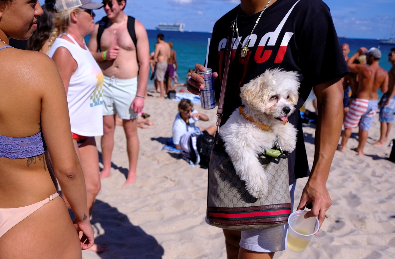 dan my tiec tung giua dai dich anh 8