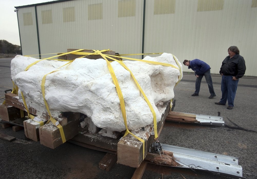 Tang da khong lo 'khoa chat' xuong hang chuc con khung long ben trong hinh anh