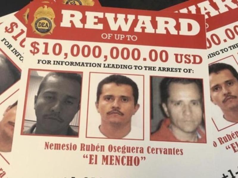 bang dang ma tuy Jalisco anh 2