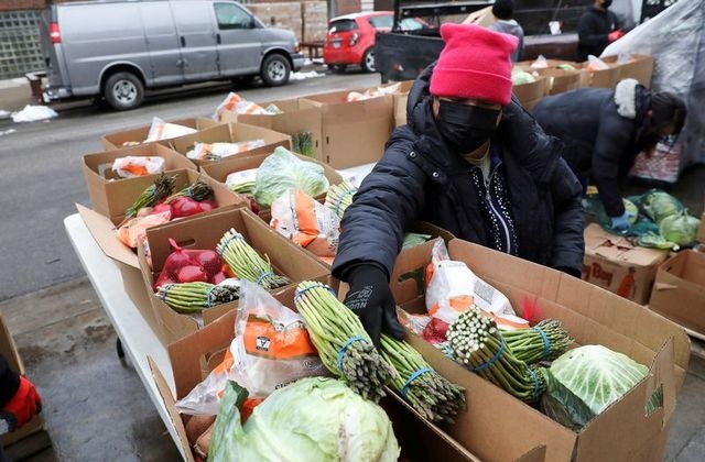 my phat do an cho dan anh 1