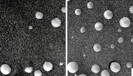 Day la hinh anh nam moc tren Sao Hoa? hinh anh