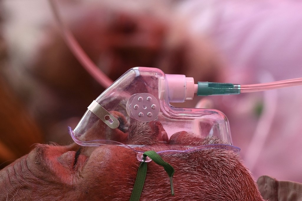 An Do canh bao dich benh 'nam den' nguy hiem hinh anh