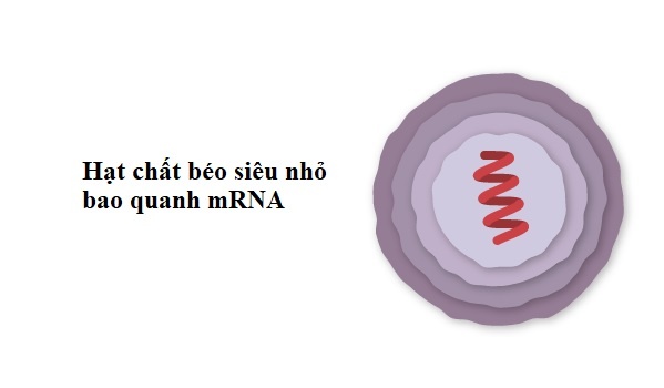 vaccine pfizer anh 2
