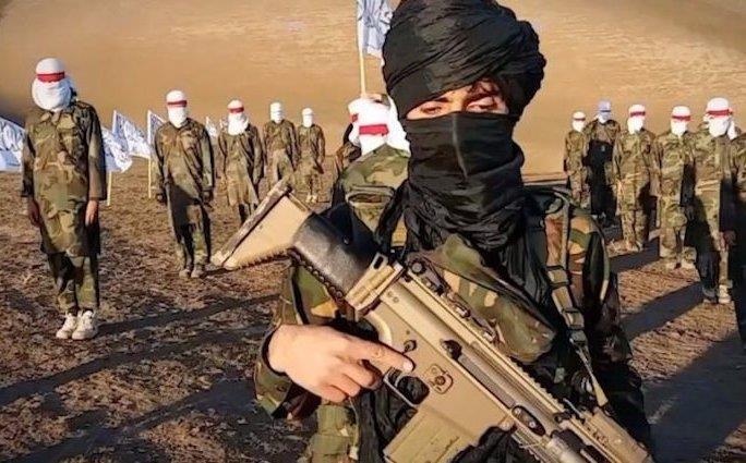 Al Qaeda troi day anh 3