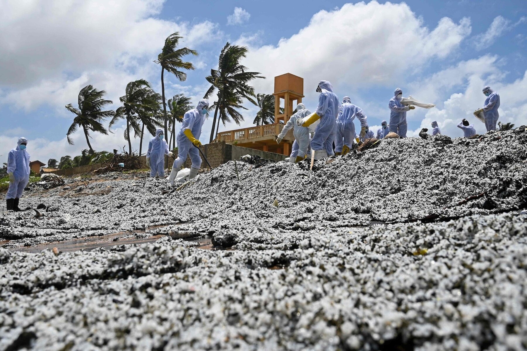 tham hoa moi truong sri lanka anh 6