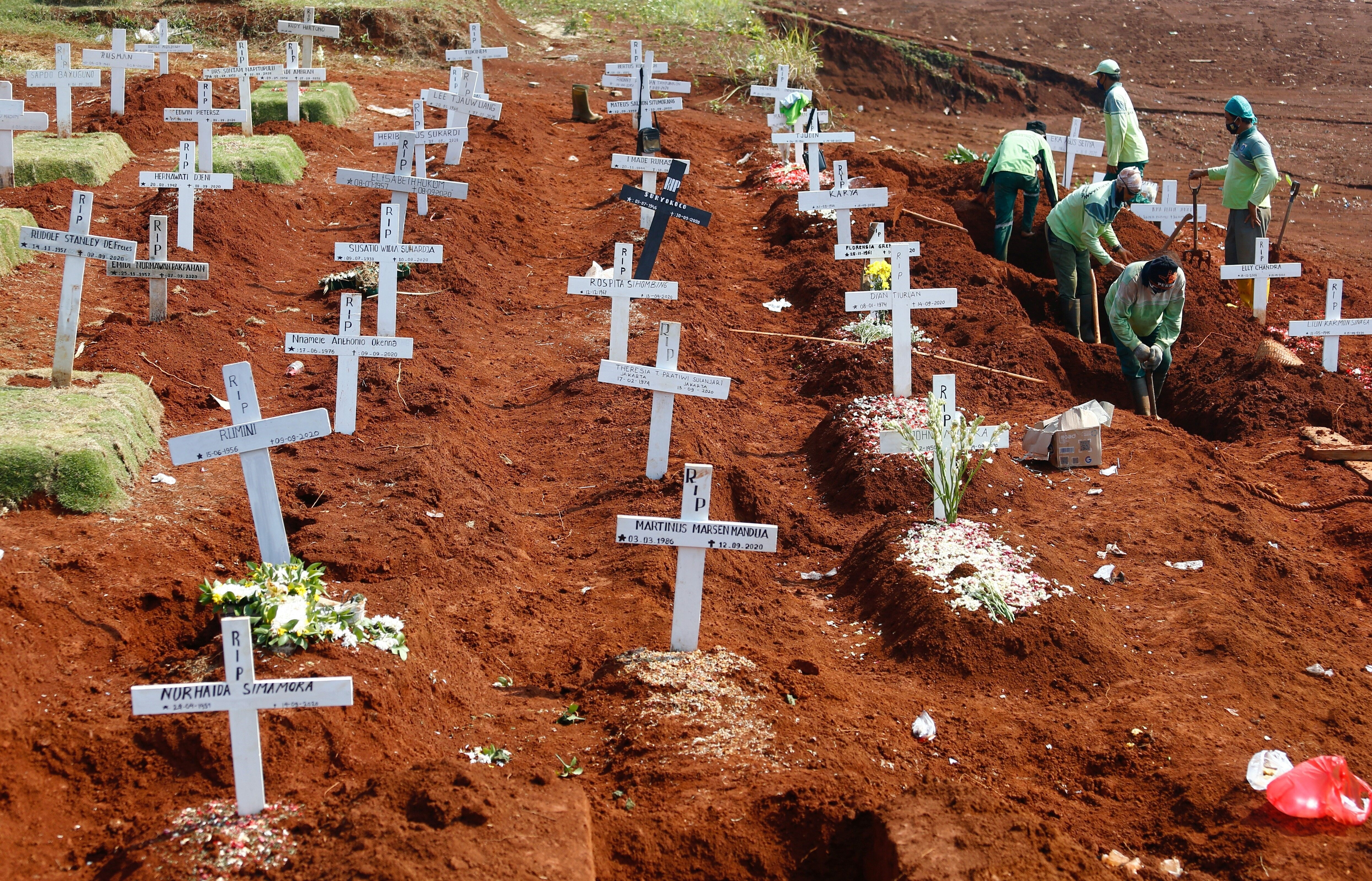 dich benh indonesia anh 1