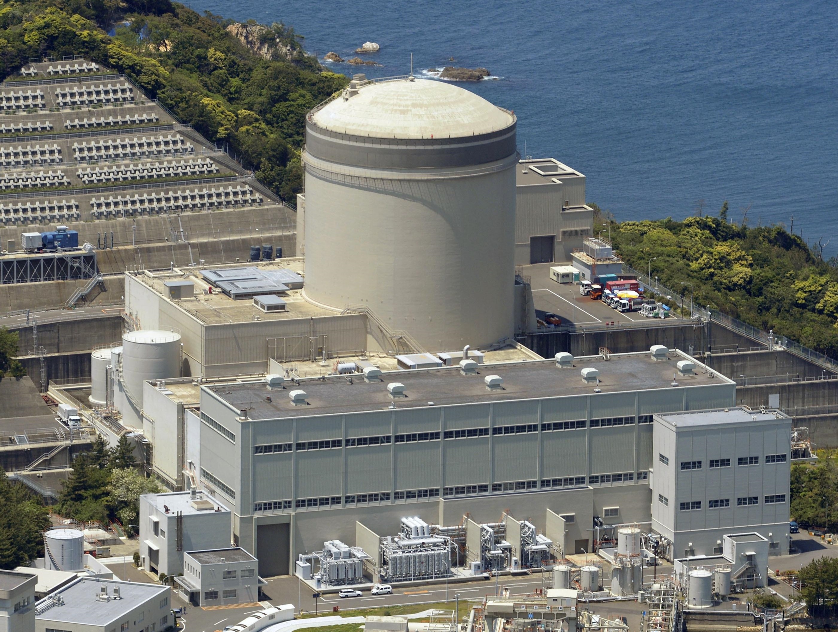 Nhat Ban khoi dong lai lo phan ung hat nhan 44 nam tuoi hinh anh