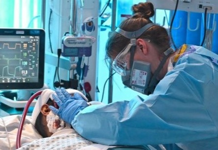 Cac nuoc chay dua che thuoc dac tri Covid-19 du da co vaccine hinh anh