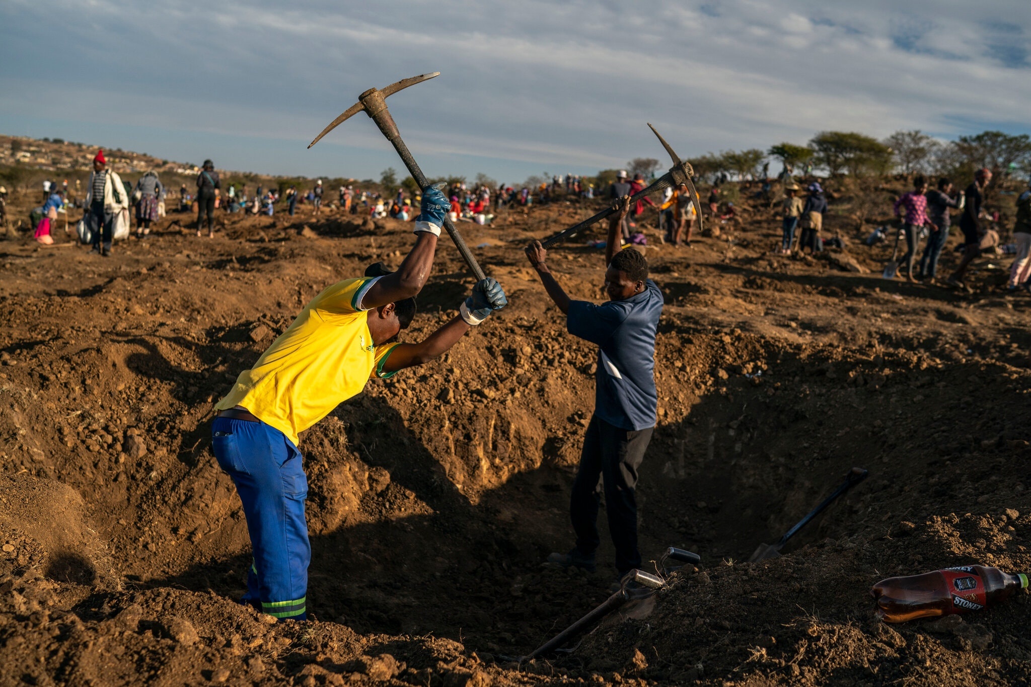 con sot kim cuong nam phi anh 2