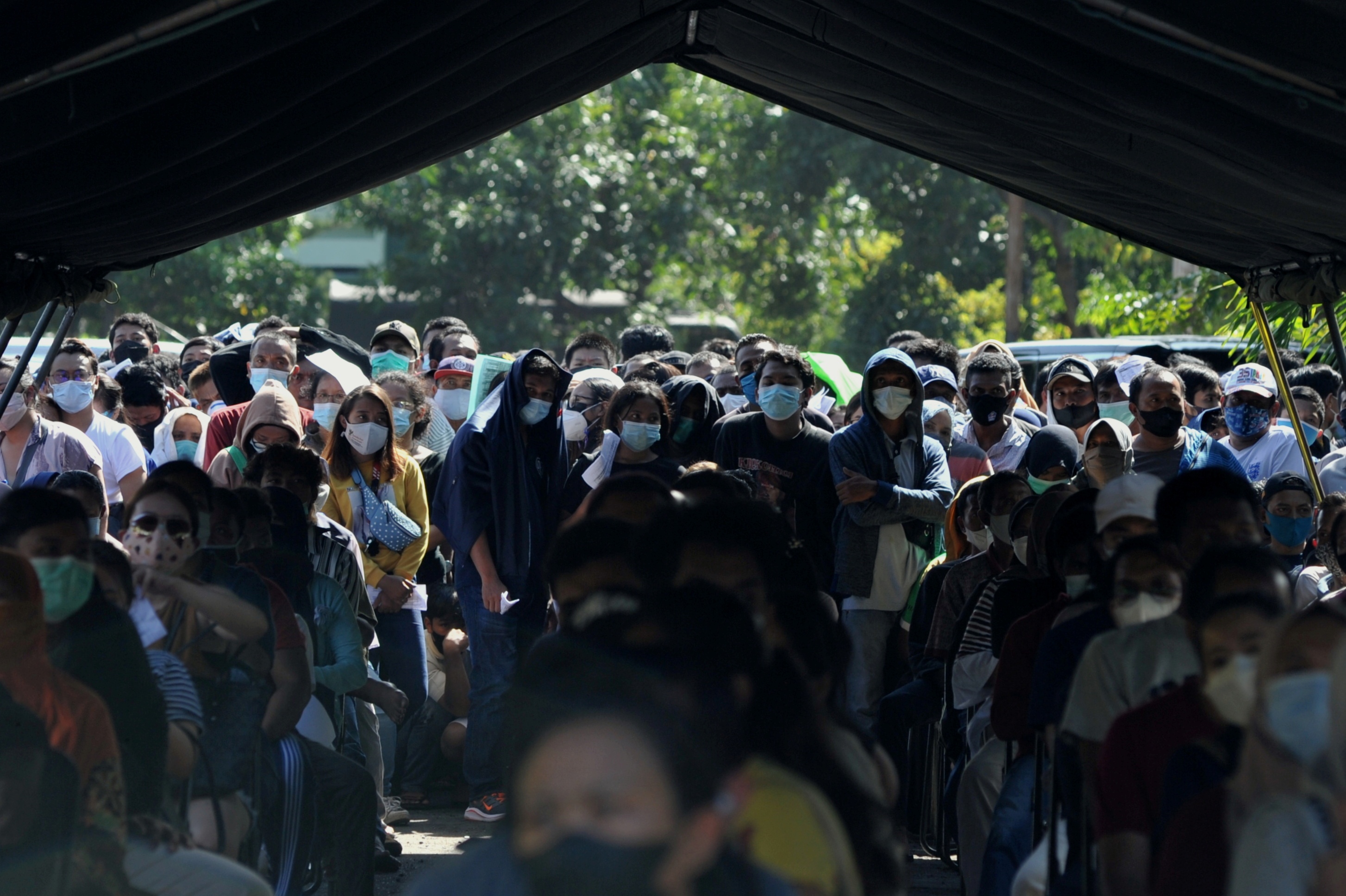 dich benh lan rong o chau a anh 1