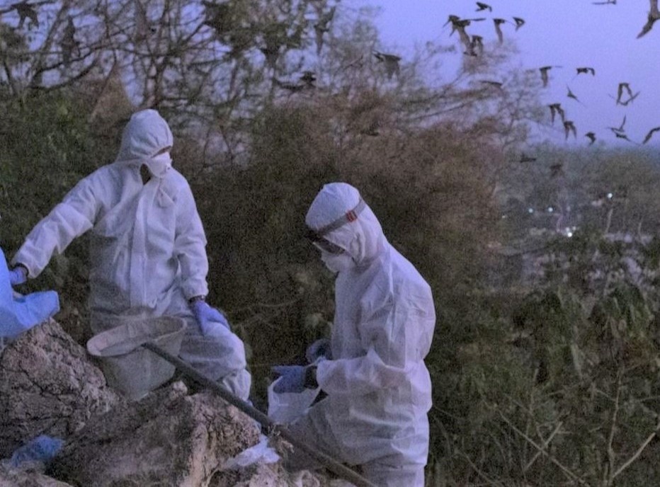 Vi sao van chua the tim ra nguon goc Covid-19? hinh anh