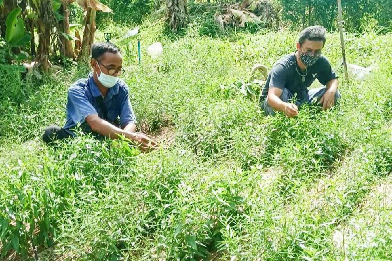 Cuoc tim kiem xuyen tam lien de chua Covid-19 o Thai Lan hinh anh