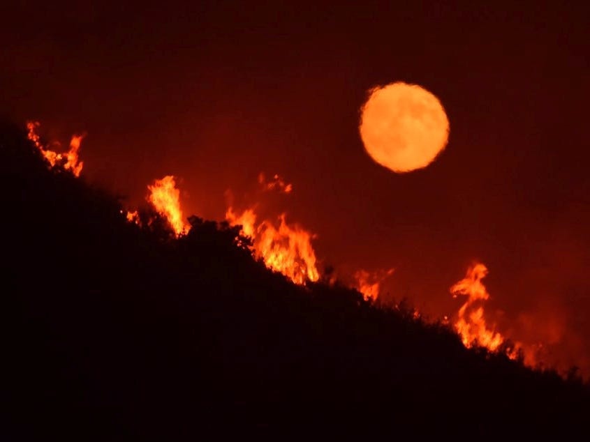 trang mau o my anh 1