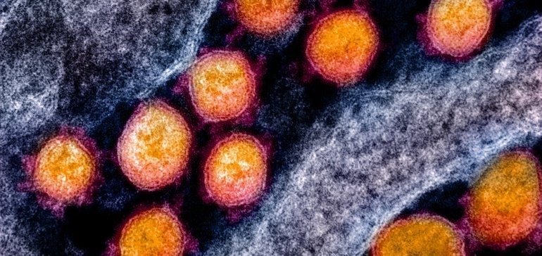 thuoc dieu tri covid-19 anh 3