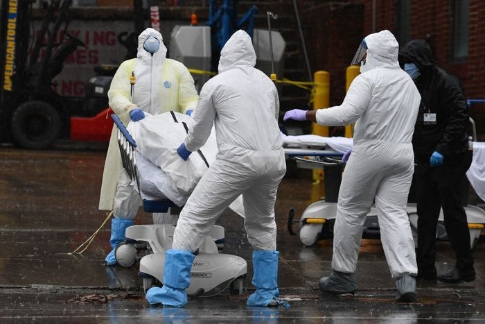 My bao dong ve ty le tu vong cua benh nhan Covid-19 hinh anh