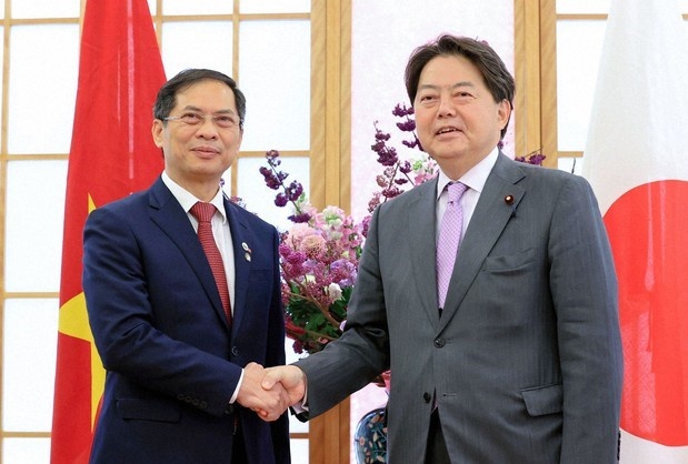 Viet - Nhat tang cuong hop tac phuc hoi kinh te hau dai dich hinh anh