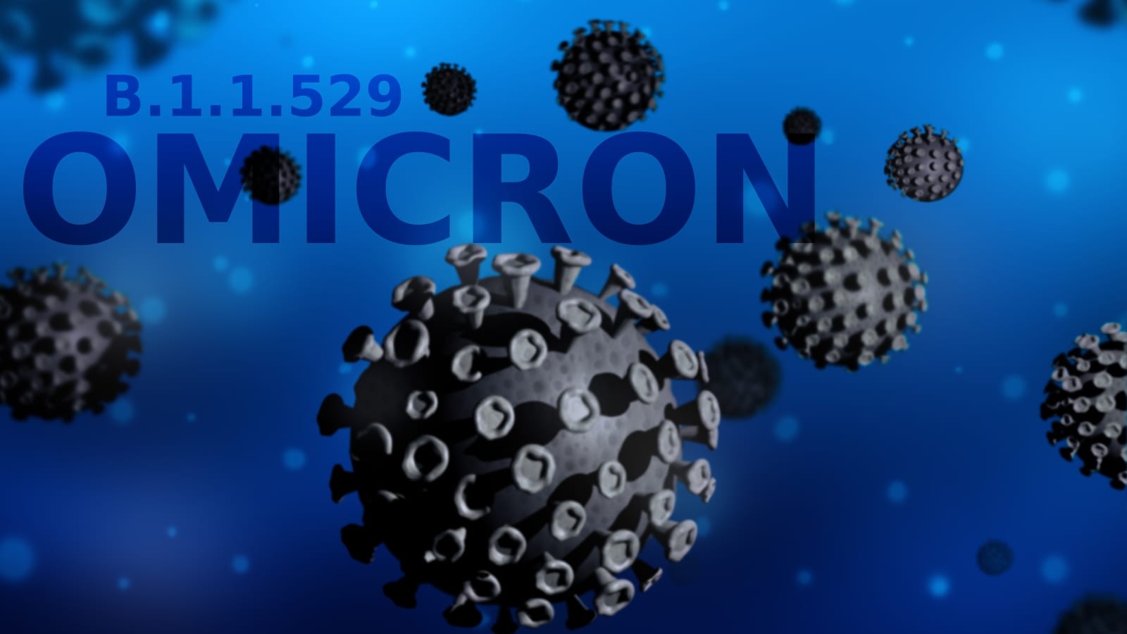 Việt Nam ứng phó biến chủng mới Omicron ảnh 1 Viet Nam ung pho bien chung moi Omicron anh 1