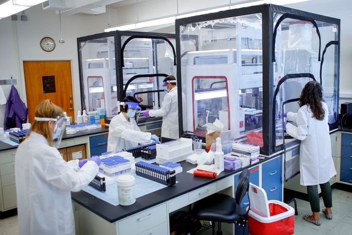 bien chung omicron anh 1