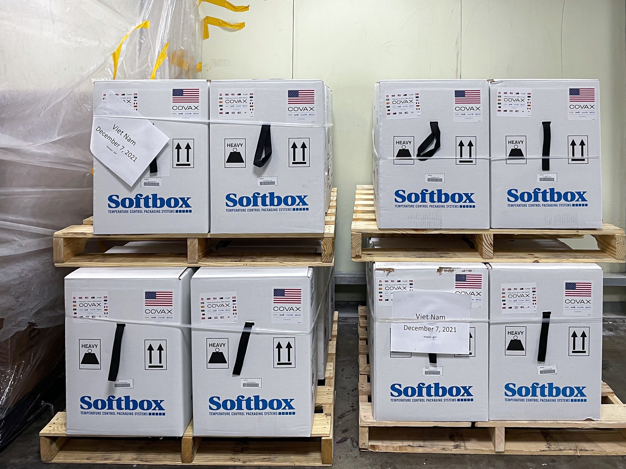 my vien tro vaccine anh 1