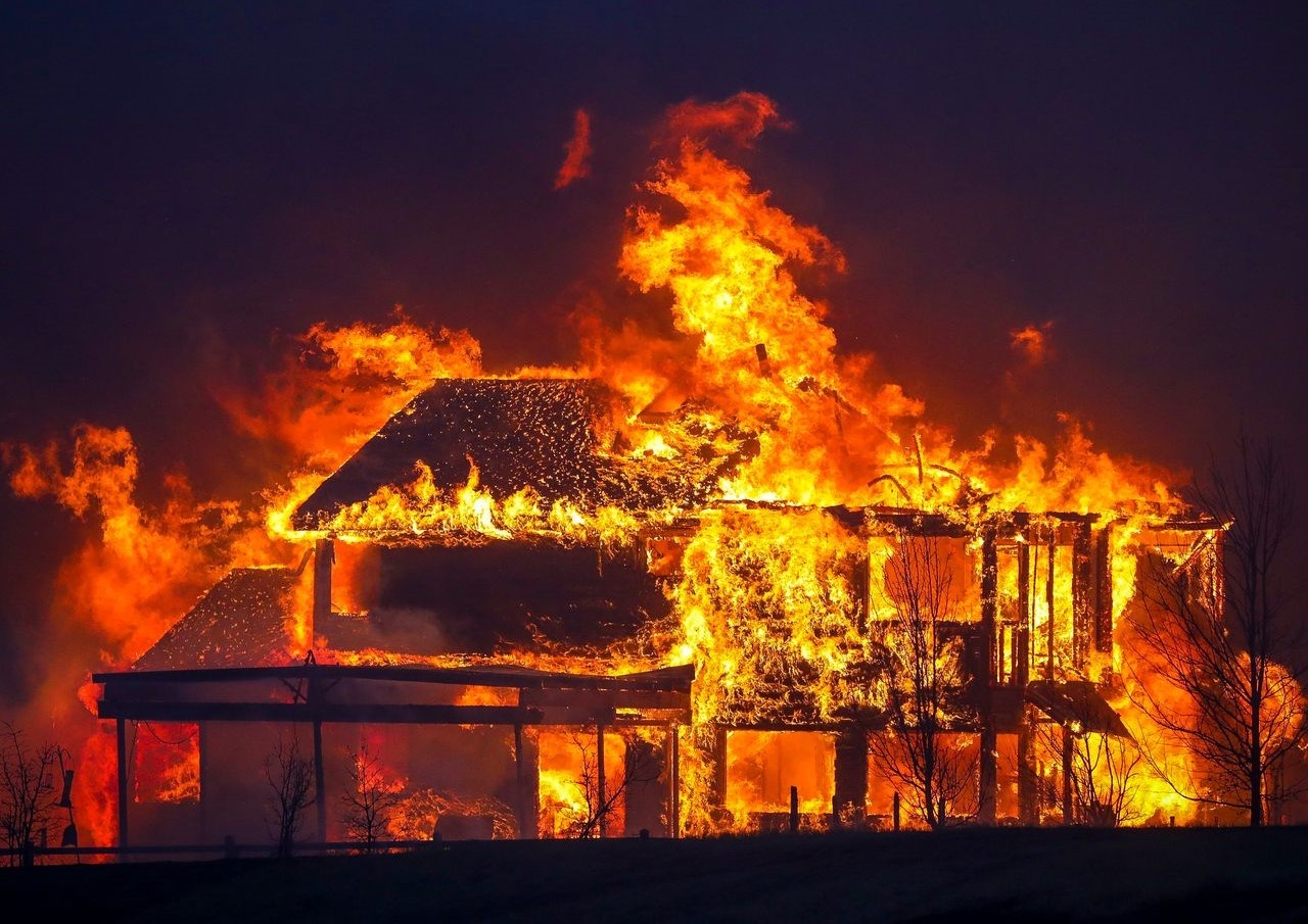 tong thong biden anh 3