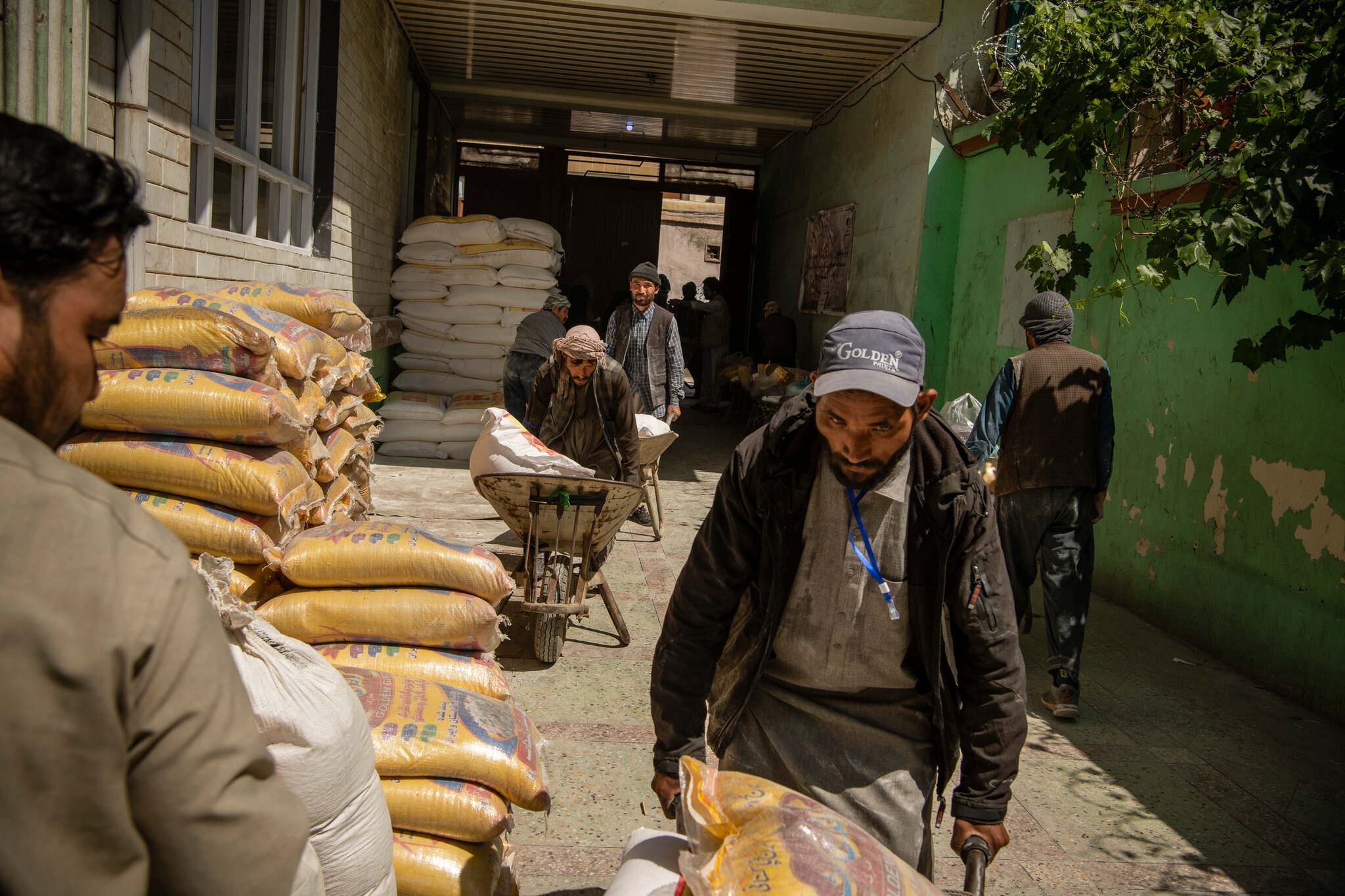 Afghanistan Taliban anh 2