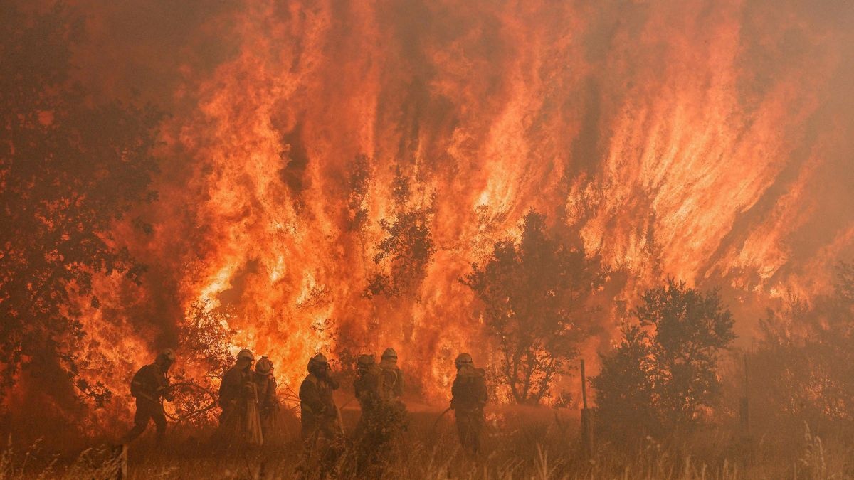 chau au nong ky luc anh 5