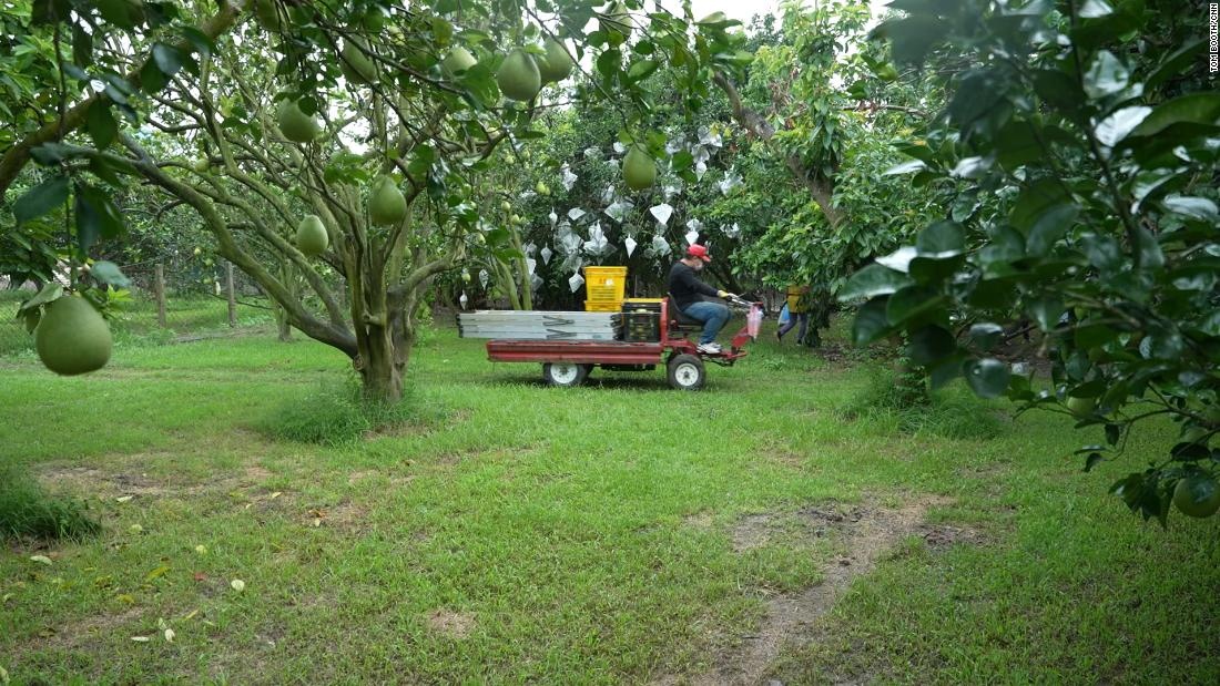 dai loan trung quoc anh 3