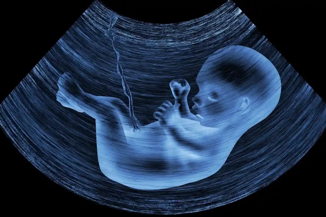 hat vi nhua sua me anh 2