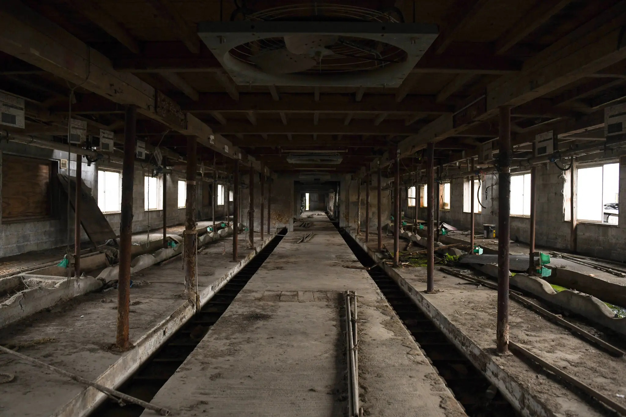 nhat ban nguoi thua ke anh 2