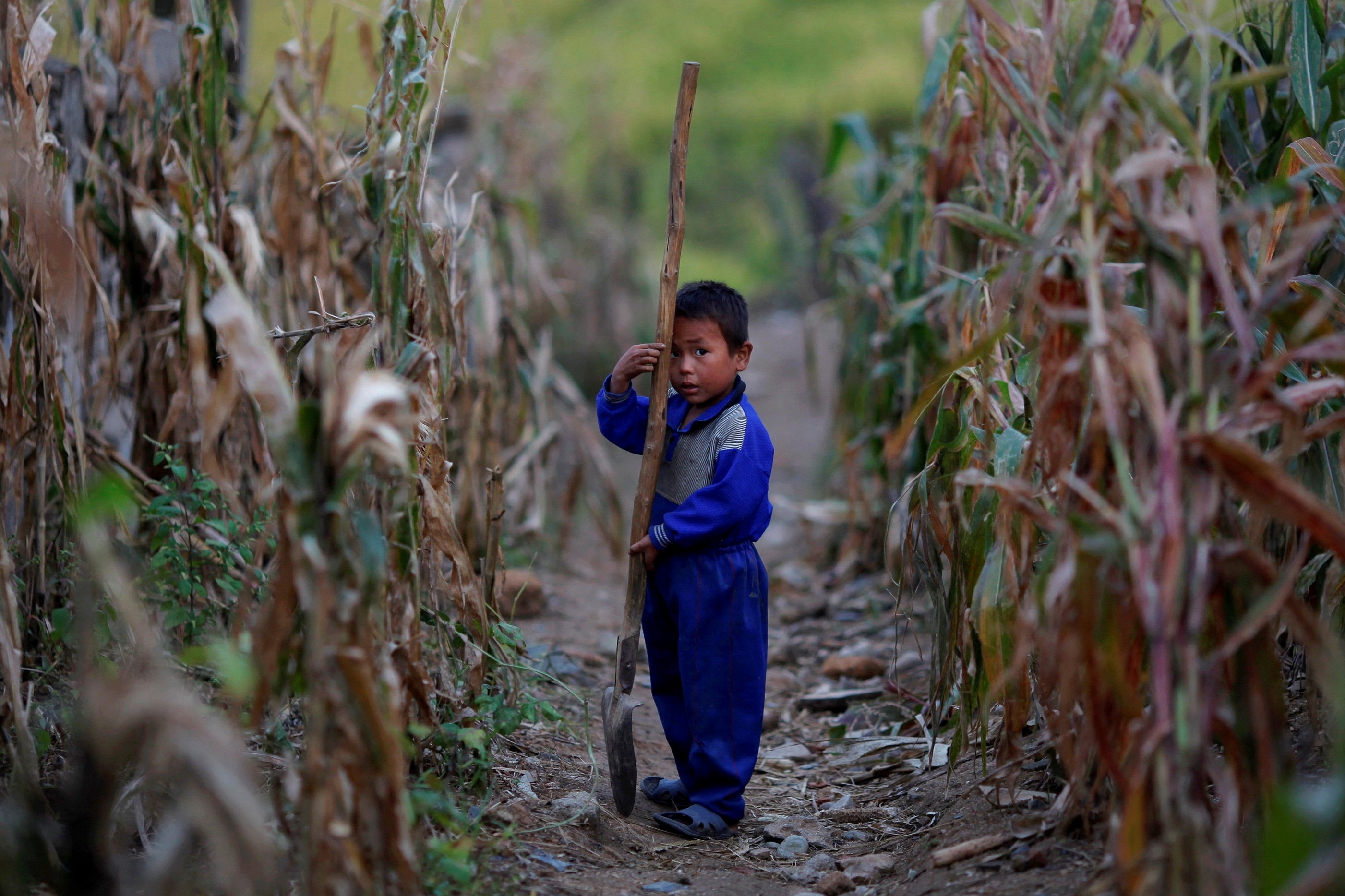 Trieu Tien doi mat kho khan luong thuc nghiem trong hinh anh