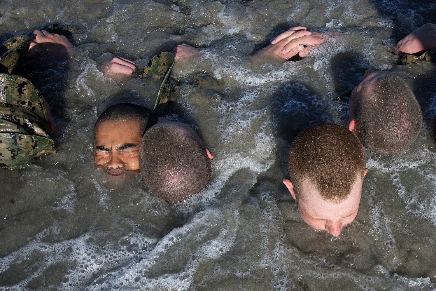 dac nhiem seal anh 2