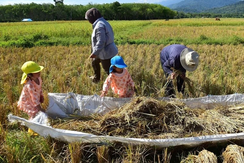 song nhiet dong nam a anh 3